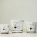 Set of ceramic pots with Happy Days design