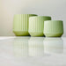 Light green ribbed ceramic planter set