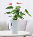 "Light sky blue ribbed ceramic planter for modern indoor and outdoor decor