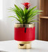 Elegant white ceramic planter with gold trim