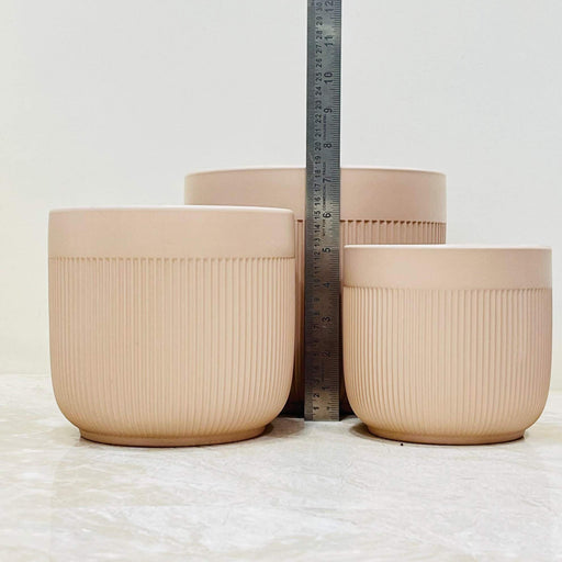 Minimalist matte beige plant pots in three sizes