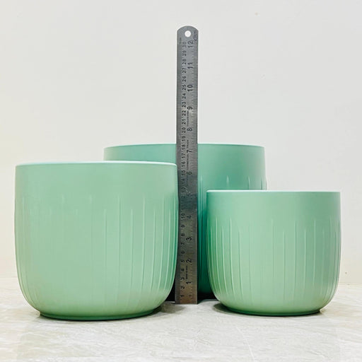 Matte green plant pots in three sizes