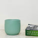 Matte green ribbed ceramic planter for indoor plants