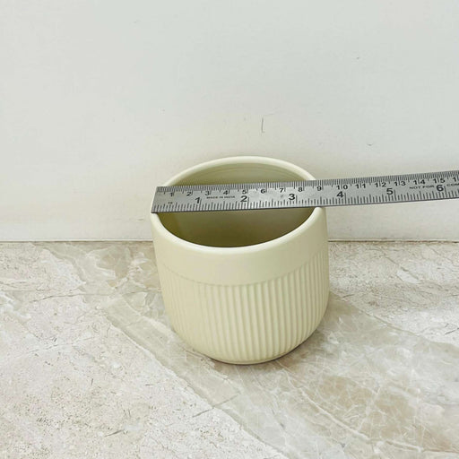 Matte vanilla textured plant container in beige tone