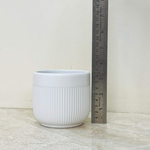 Matte white textured ceramic pot for indoor plants