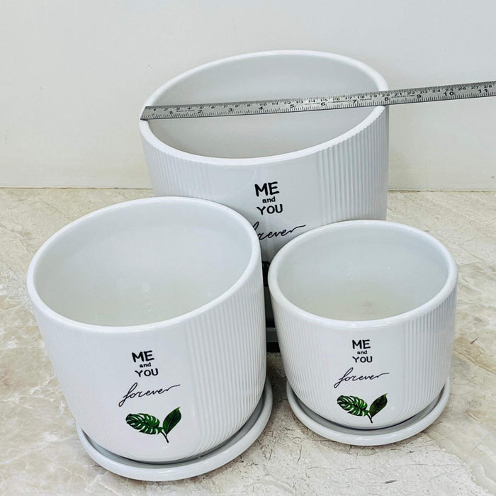 Minimalist ceramic indoor plant pots