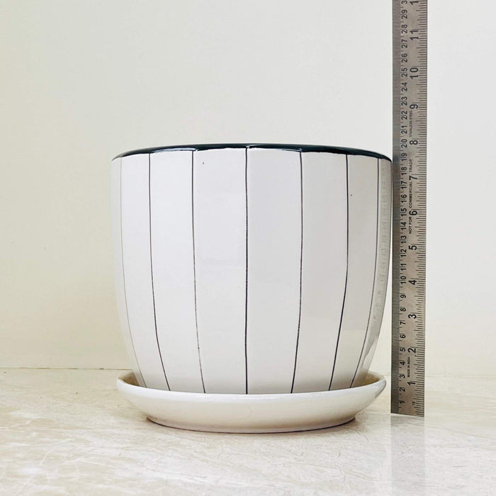 Modern striped ceramic planters with matching saucers