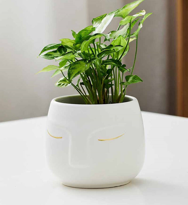 Minimalist white ceramic face planter with gold detailing