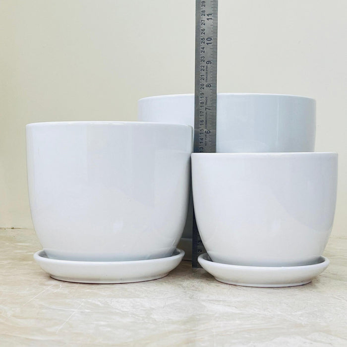 Minimalist white ceramic planter set for indoor plants