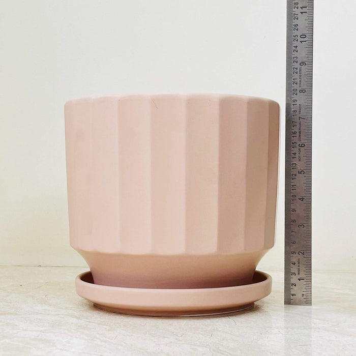 Elegant beige ceramic planters with saucers