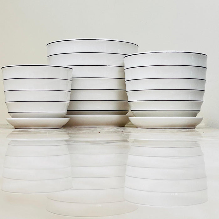 White ceramic pots with black-lined design and matching saucers