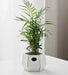 Modern geometric ceramic planter with gold accents