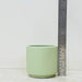 Ribbed design pastel green ceramic planter