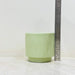 Modern indoor planter in light green ceramic