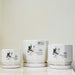 Artistic ceramic planters with inspirational text and leaf motif