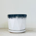 Modern style ceramic pots with sleek ombre design