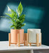 modern-ceramic-planters-orange