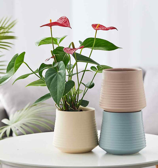 Modern ribbed ceramic planter