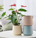 Modern ribbed ceramic planter