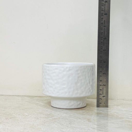 Minimalist white indoor planter with raised base