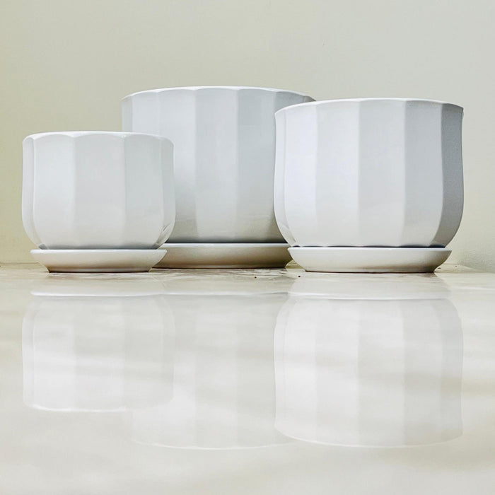 Elegant white ceramic pots for indoor plants