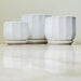 Elegant white ceramic pots for indoor plants