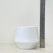 Modern white cylindrical plant pot