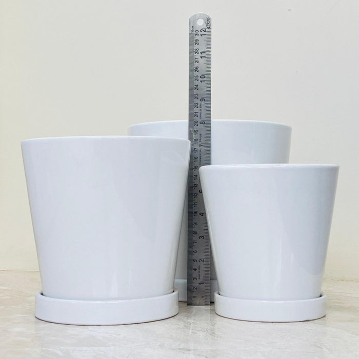 White ceramic plant pots in three sizes