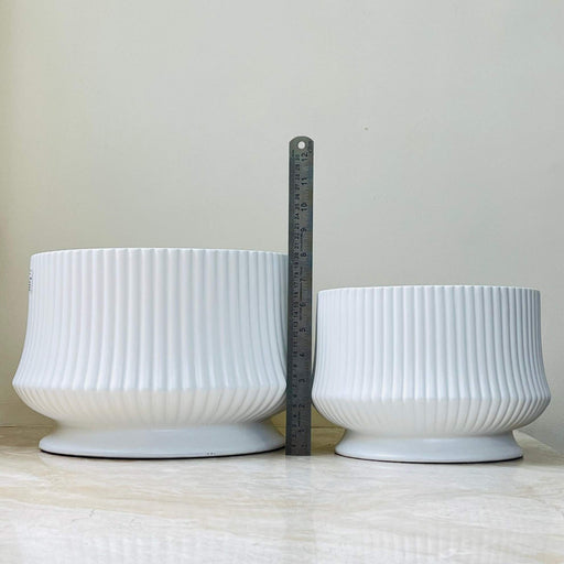 Modern fluted ceramic plant pots in matte white