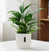 Modern White Ribbed Ceramic Planter with Indoor Plant