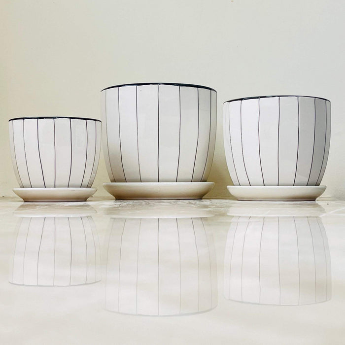 White ceramic pots with black vertical stripe design