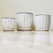 White ceramic pots with black vertical stripe design