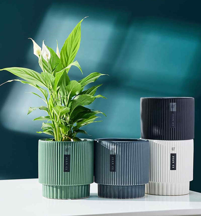 Multi-Color Ribbed Ceramic Planters for Modern Décor