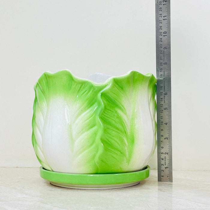 Nature-Inspired Leafy Ceramic Planters