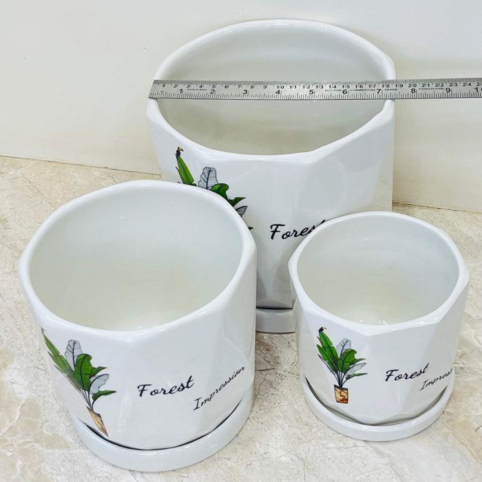 Trio of white ceramic planters with nature-inspired "Forest Impression" artwork