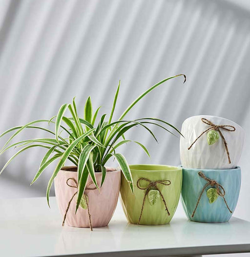 Pastel ceramic indoor flower pots with leaf charm