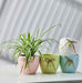 Pastel ceramic indoor flower pots with leaf charm