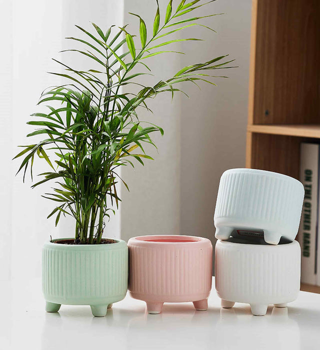 Pastel Charm Ceramic Planters with Vertical Ridges - Indoor Flower Pots