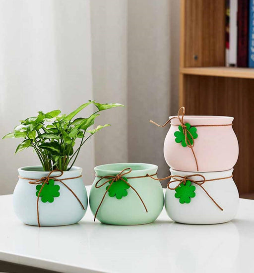 Pastel ceramic indoor plant pots with clover decor