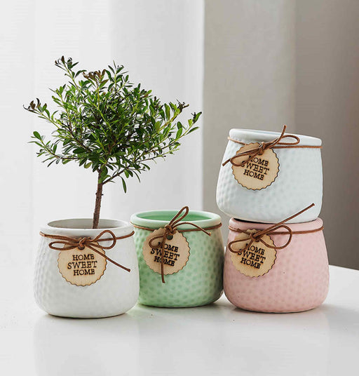 Pastel ceramic planters with Home Sweet Home tag