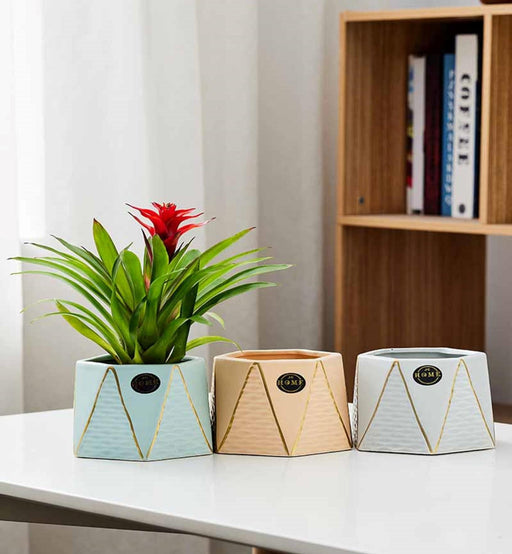 Stylish indoor planters in pastel colors