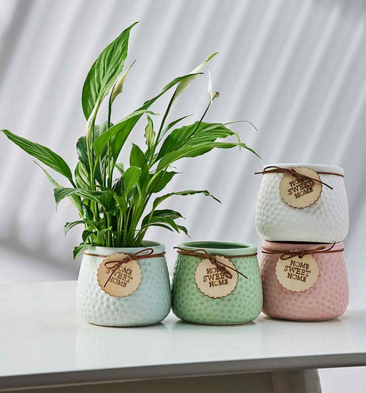 Home Sweet Home ceramic pots