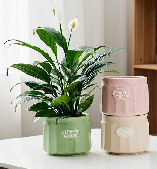 Pastel ceramic planters with ridges