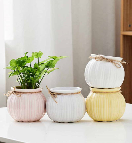 Pastel round ceramic planters with jute string