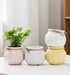 Pastel round ceramic planters with jute string