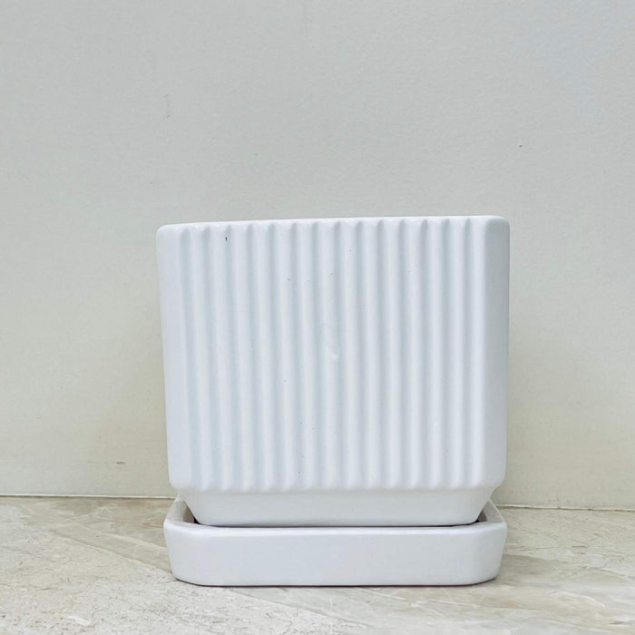 Rectangular white ribbed ceramic planter with tray