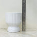 Ribbed ceramic indoor plant pot in modern white finish.