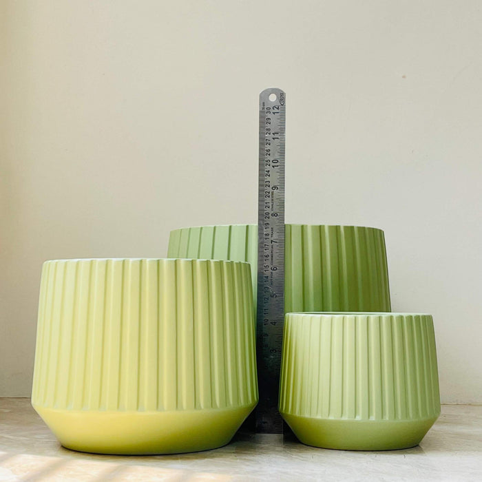 Tapered ribbed plant containers in green