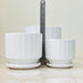 Elegant white fluted ceramic planter set