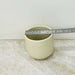 Sandy beige ribbed ceramic pot for modern decor